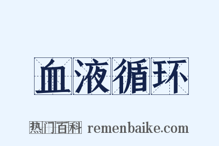 血液循环是什么意思的图片